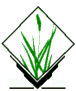 GRASS logo